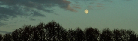 An den Mond III von Goethe - Illustration/Grafik An den Mond III (Buch-Illustration)